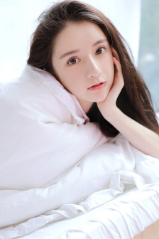 凡赫辛2